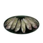 Baila fish / Bele fish (500 gm)