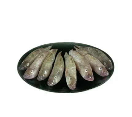 Baila fish / Bele fish (500 gm)