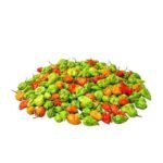 Bombay Morich/ Naga chilli (100g)