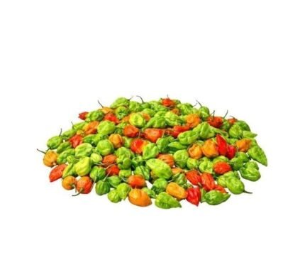 Bombay Morich/ Naga chilli (500g)