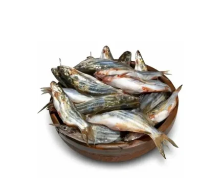 Gulsha Fish/ Tengra Fish (800g)