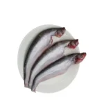 Pabda Fish Block (600g)