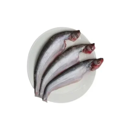 Pabda Fish Block (600g)