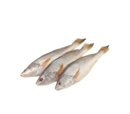 Poa Fish Frozen (Myanmar) (500g)