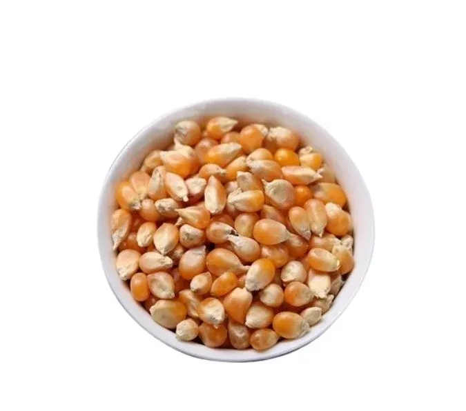 Popcorn-Beans-1kg.webp Popcorn Beans (1kg) - Image 1