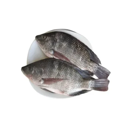 Tilapia Fish Whole Cleaned (500-600g)