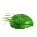 Fresh Pan (Betel Leaves) 100g