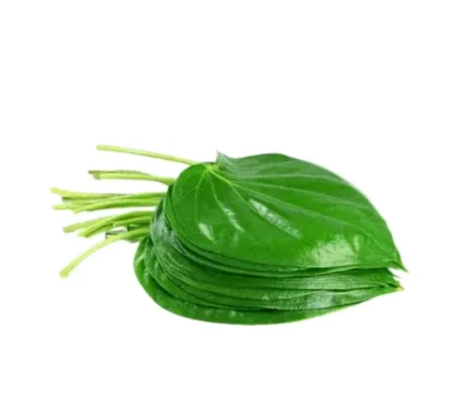 Fresh Pan (Betel Leaves) 100g