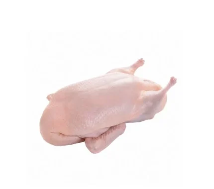 Duck Whole  (1.6-1.8kg)