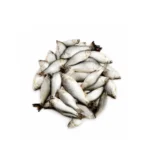 Puti Fish 300g